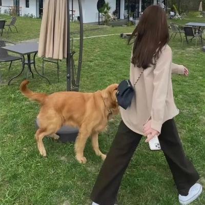 第41号女囚房